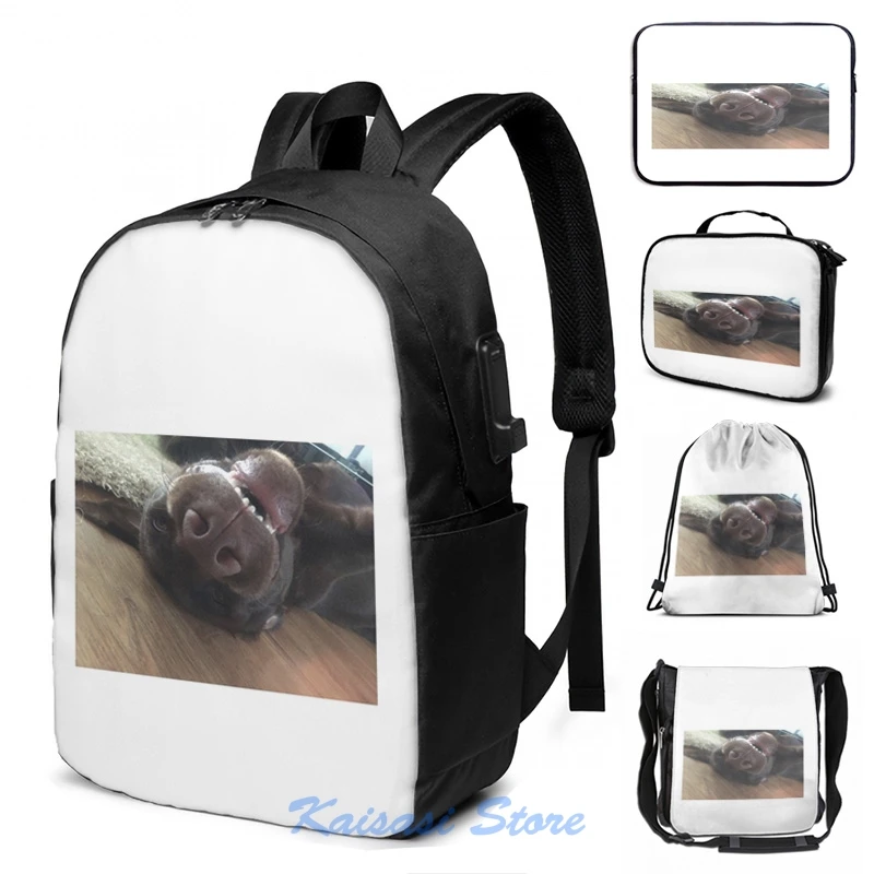 Забавный рюкзак с графическим принтом шоколада Лабрадора щенка USB-зарядка