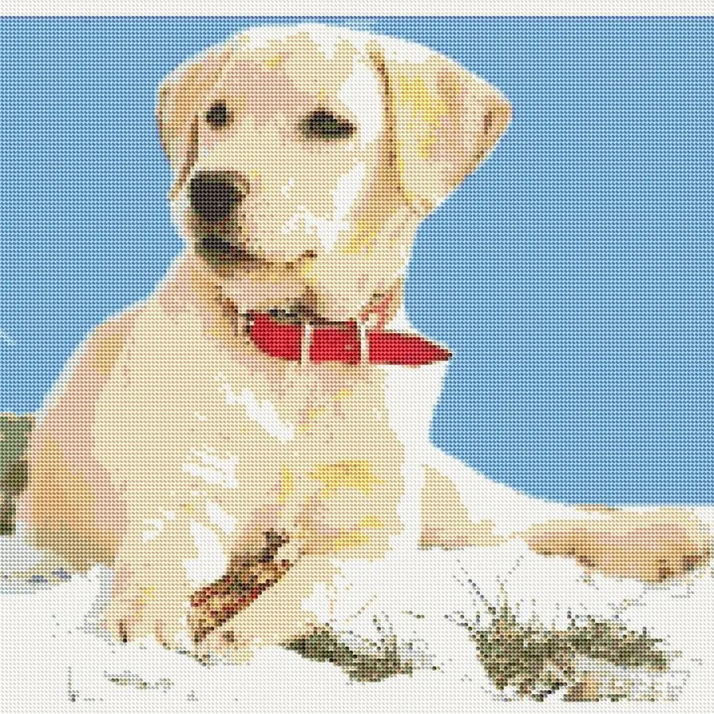 Набор для алмазной вышивки такса с изображением собаки | Дом и сад