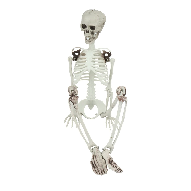 

Скелет из ПВХ 90 см для Хэллоуина, имитация человеческой кости, украшение, реквизит для украшения бара, дом с привидениями, секретная комната ...