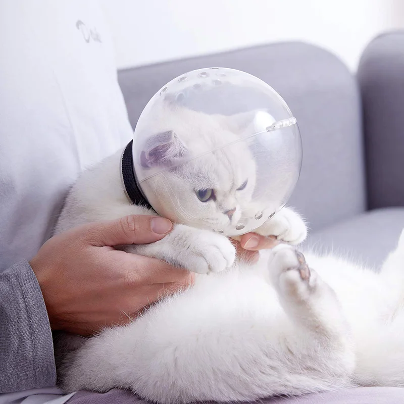 

Grooming Mask Cat Muzzle Anti-Bite Breathable Mask Anti-Licking Protect Space Hood Mask Cover Muzzle Cat Bath Grooming Supplies