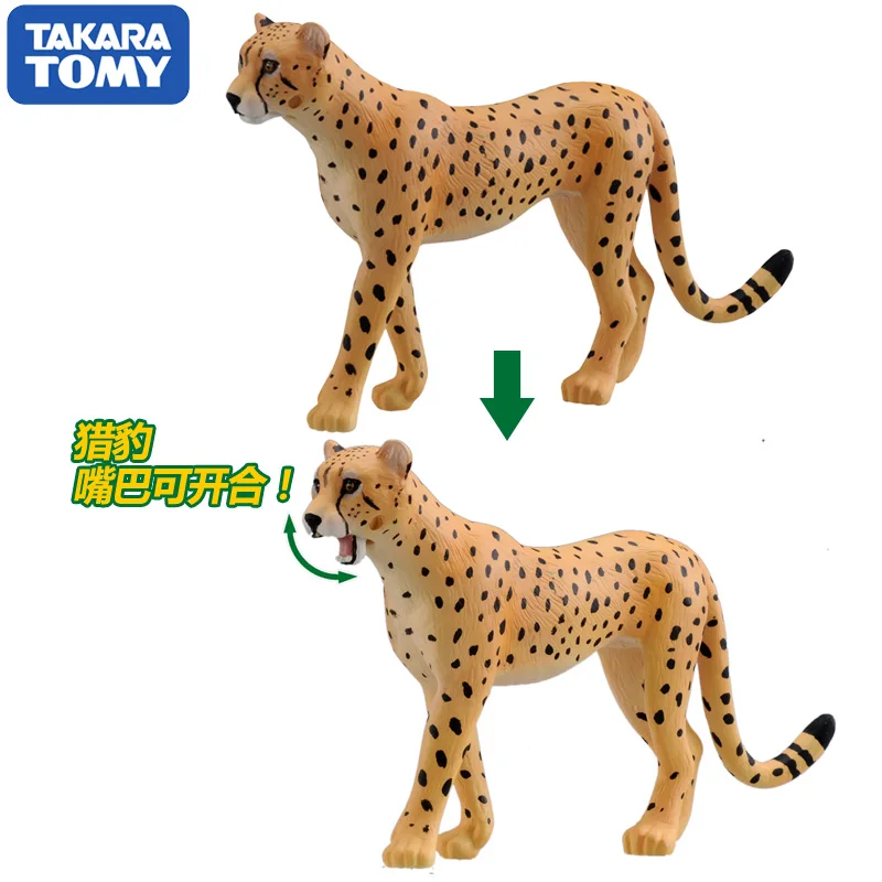 S01 Takara Tomy ANIA Animal Advanture AS-13 Cheetah Wild 5 см ABS фигурка детские развивающие игрушки
