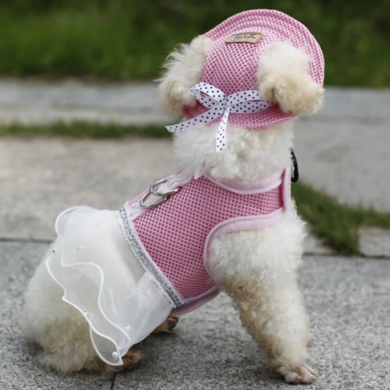

Cute Pet Dog Sun Hat Protective Breathable Net Cloth Puppy Summer Fashion Bow Ribbon Comfortable Cap Outdoor Hiking Accessories