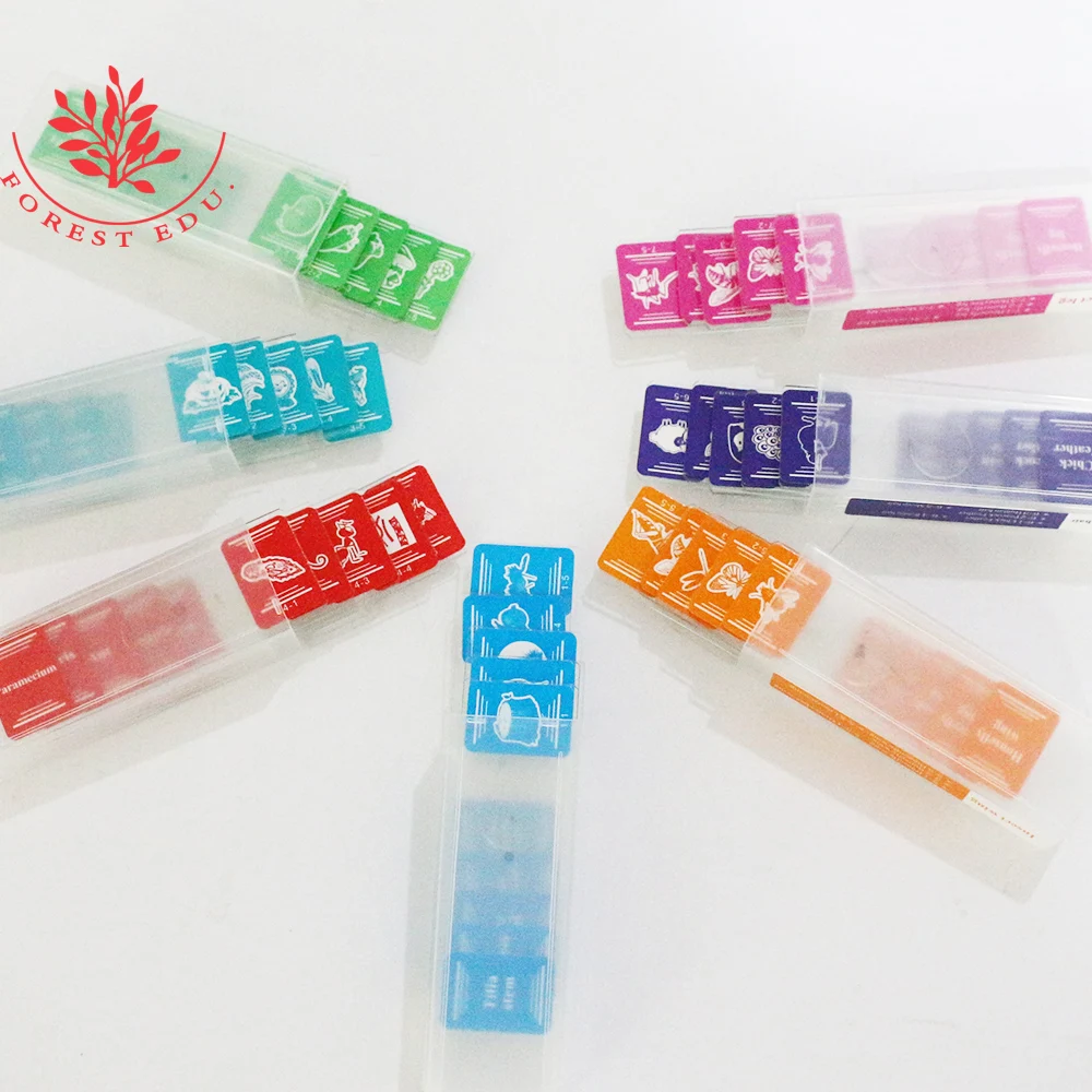 Подготовленные горки для студентов 35 шт. биологический образец искусственные