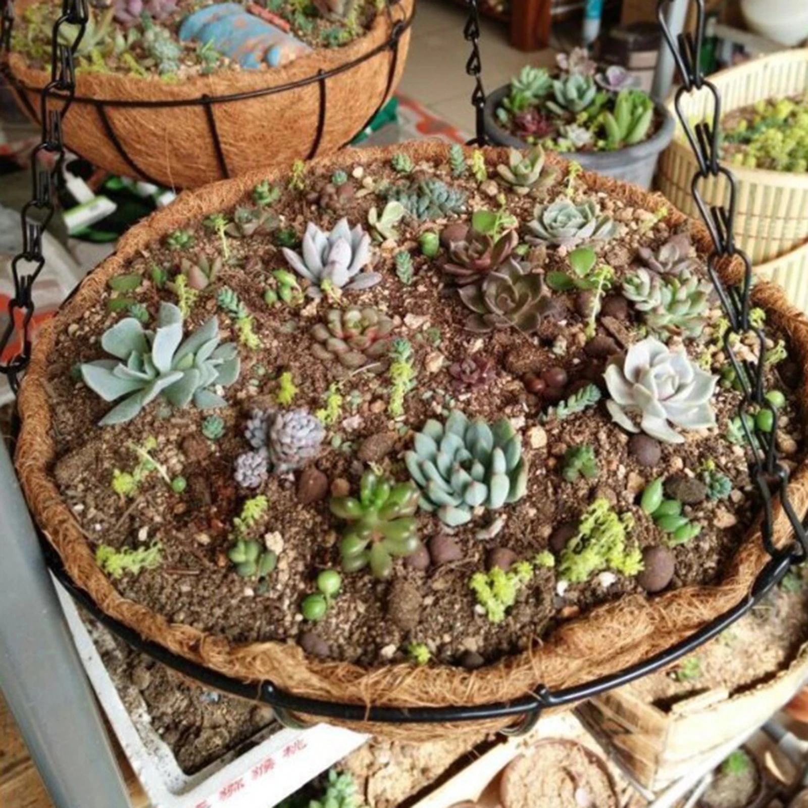 Круглая подвесная корзина из кокосовой шелухи горшок для растений Цветочная