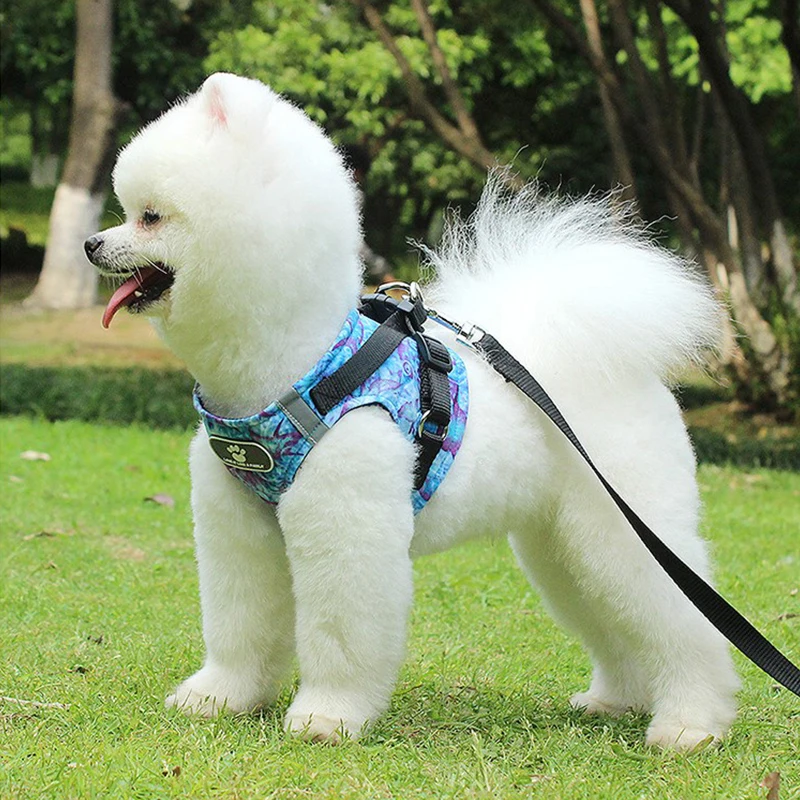 

Cat Dog Adjustable Harness Vest Walking Lead Leash For Puppy Dogs Collar Polyester Mesh Harness For Dog Cat Pet Collars