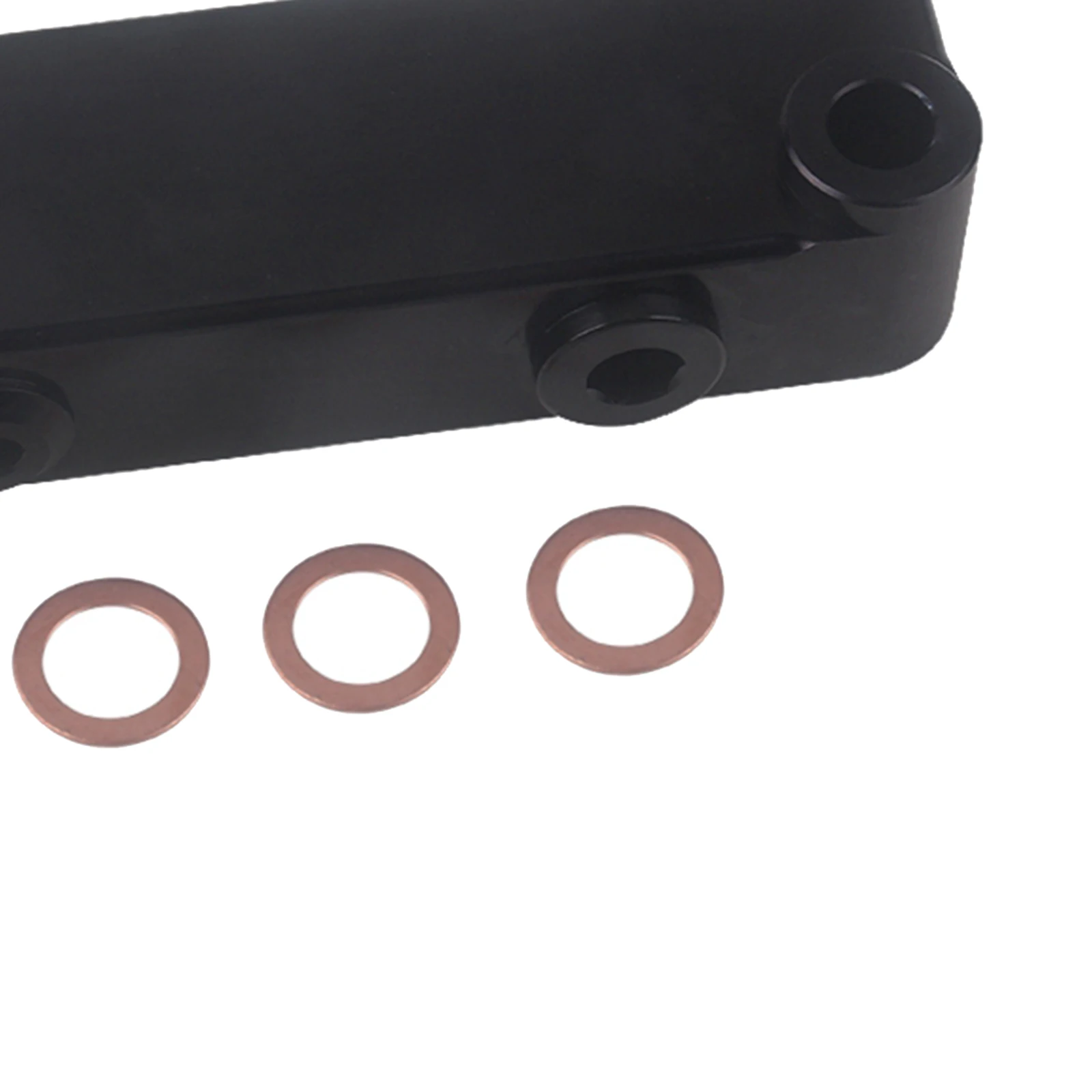 

Fuel Bowl Filter Bypass Set for 2010-2016 Parts Professional