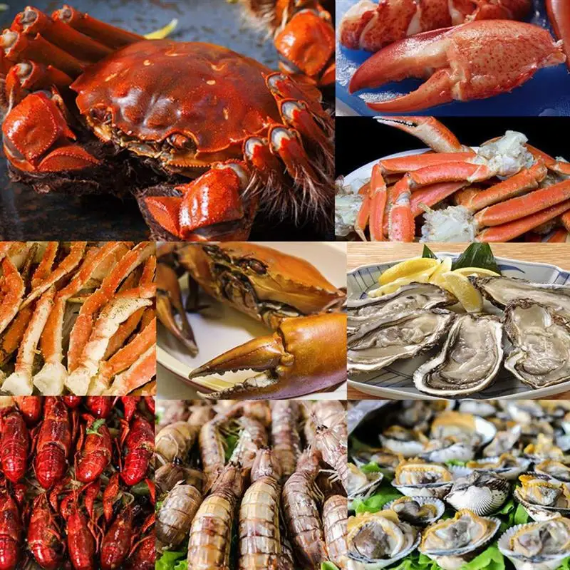 

Kapmore 1pc Seafood Sheller Creative Multi-Purpose Plastic Crab Pick Seafood Tool Crab Tools Accessories