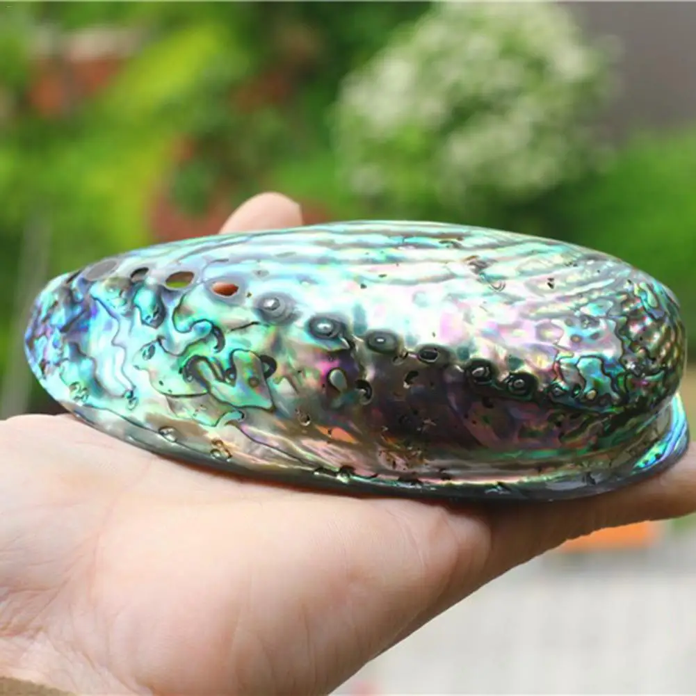 Ароматическая горелка в виде ракушки Абалон натуральная синяя ракушка