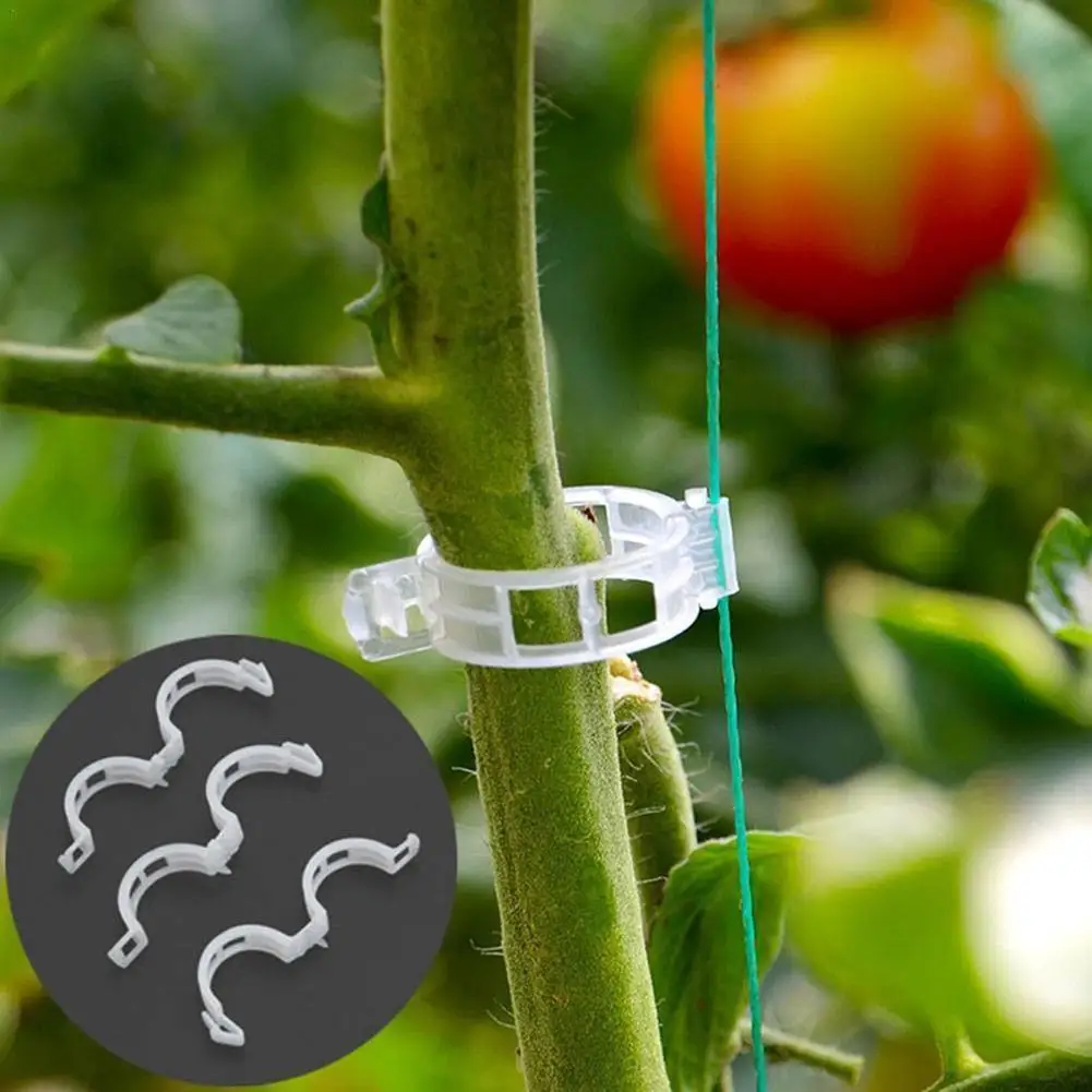 

100PCS New Durable Clear Plant Support Clips Vine Garden Tools Vegetables Hanging For types Gardening plants 23mm Plastic F8V4