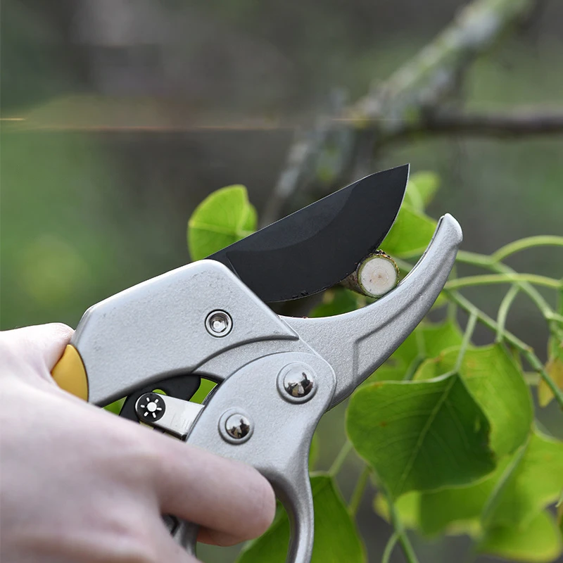 

Pruning Shears Durable Sharp Garden Bonsai Tools Hedge Clipper Professional Sectional Type Gardening Scissors Tool for Gardening