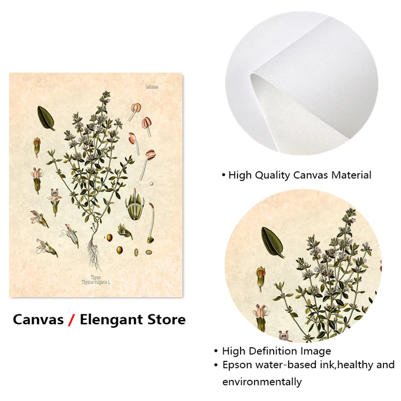 Винтажный ботанический постер с принтом трав специй петрушки шалфея розмарин