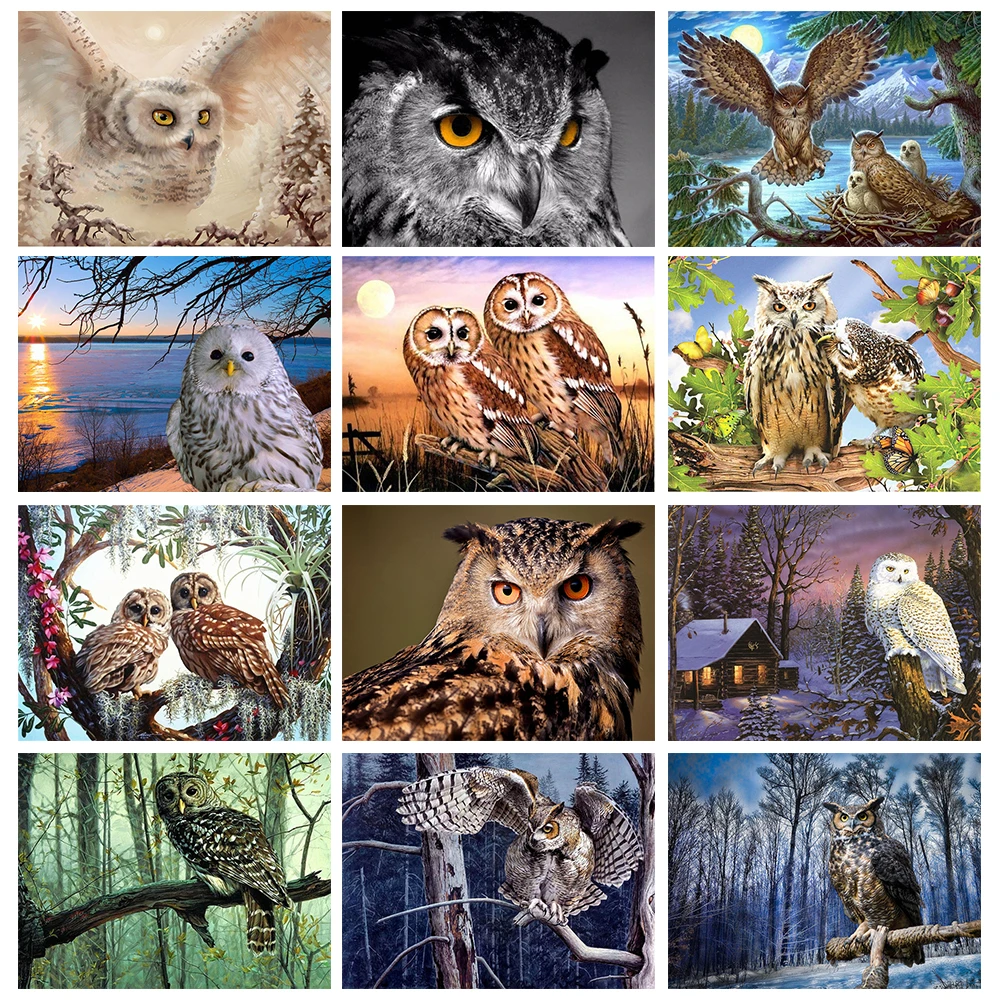 

5D Diamond Painting Full Round Owl Cross Stitch Diamond Embroidery Animals Rhinestones Art Decoration For Home