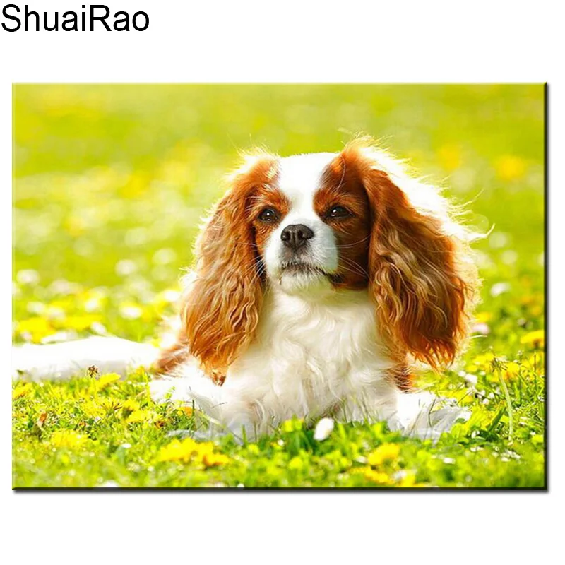 Алмазная 5D картина сделай сам рисунок Карла Кинга Чарльза спаниеля вышивка