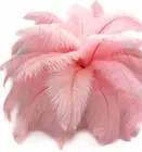 Перья страусиные розовые, 20-25 см8-10 дюймов, 10 шт.лот
