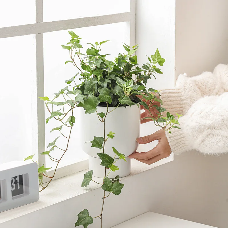 

Круглый керамический цветочный горшок для балкона, зеленое растение для гостиной, простой семейный цветочный горшок