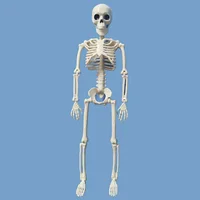 Небольшой скелет, в суставах гнется, что открывает простор для творчества #3