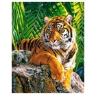 5D алмазная живопись Тигр сделай сам, полное покрытие круглыхквадратных страз, 3D вышивка крестиком, стразы, мозаика, домашний декор, искусство Y203