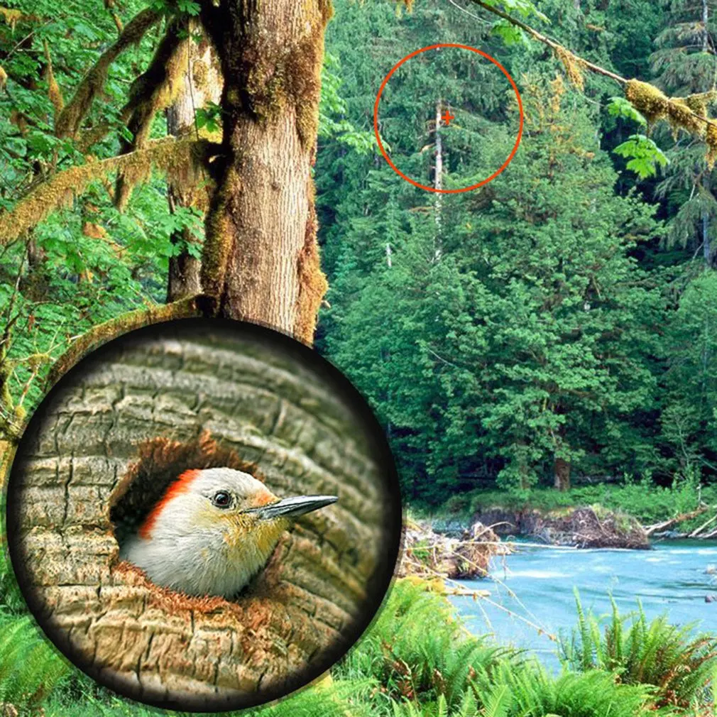 

Binoculars High Definition Professional Binoculars Outdoor Low-light Night View Waterproof Binoculars