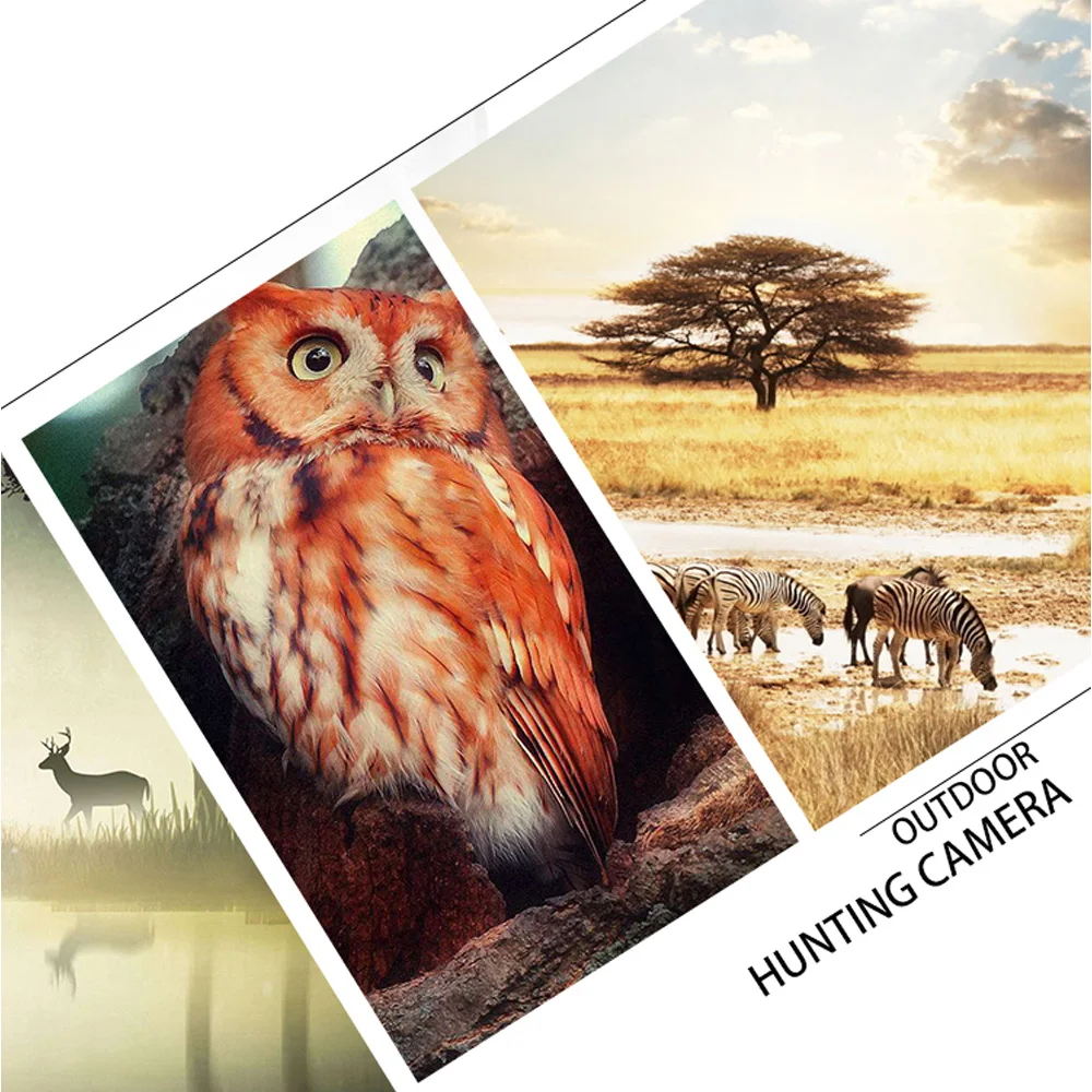 

HH-662 Hunting Camera 16MP 1080P 0.6S Motion Digital Infrared Night Vision Waterproof Trail Camera For Outdoor Wildlife Watching