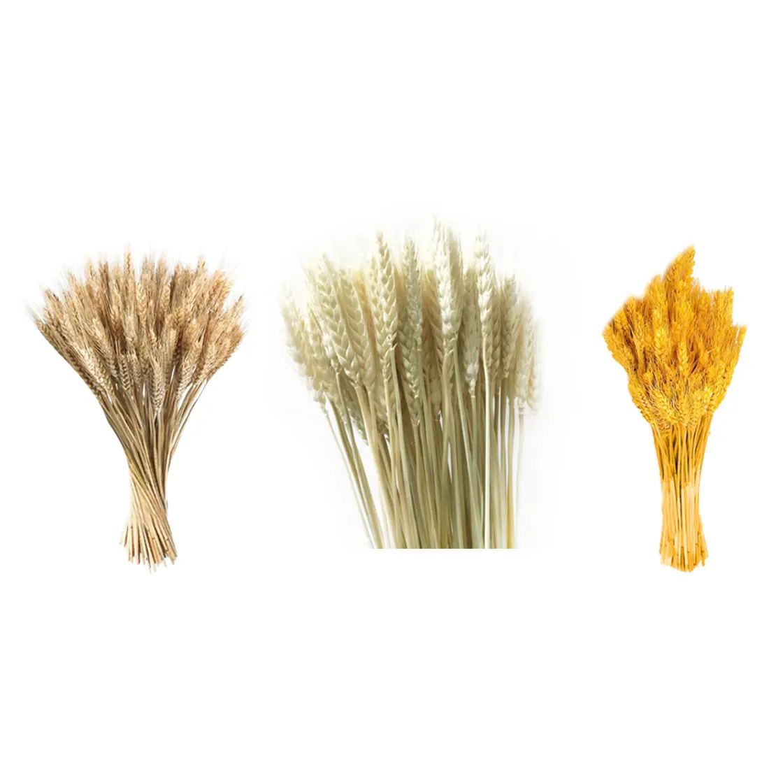 Искусственные пшеничные Осенние цветы 50 шт. самодельный скрапбук домашний декор