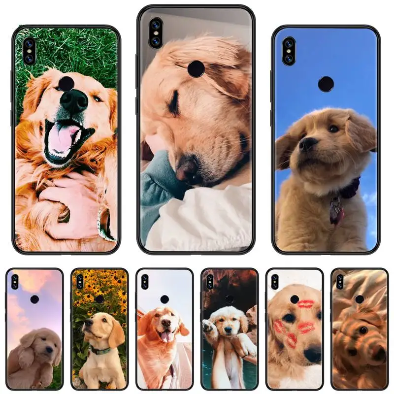 

Phone Case For Xiaomi Redmi 7 8 9t a3 9se k20 mi8 max3 lite 9 note 9s 10 pro Cute golden retriever dog