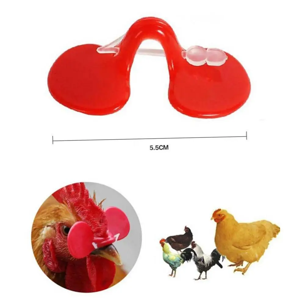 Очки для птицы фазана x50 очки предотвращения повреждения курицы | Дом и сад