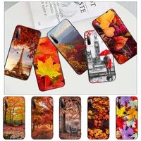 golden yellow fallen leaves autumn phone case for iphone 11 12 mini pro xs max 8 7 6 6s plus x 5s se 2020 xr shell
