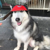pet accessories caps for cats and dogs summer hat outdoor breathable baseball visor caps pet sun hat