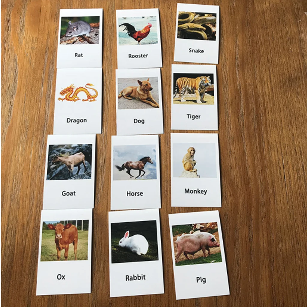 

24 Children Montessori Educational Game, Insect Model Photo Cards for Language Support