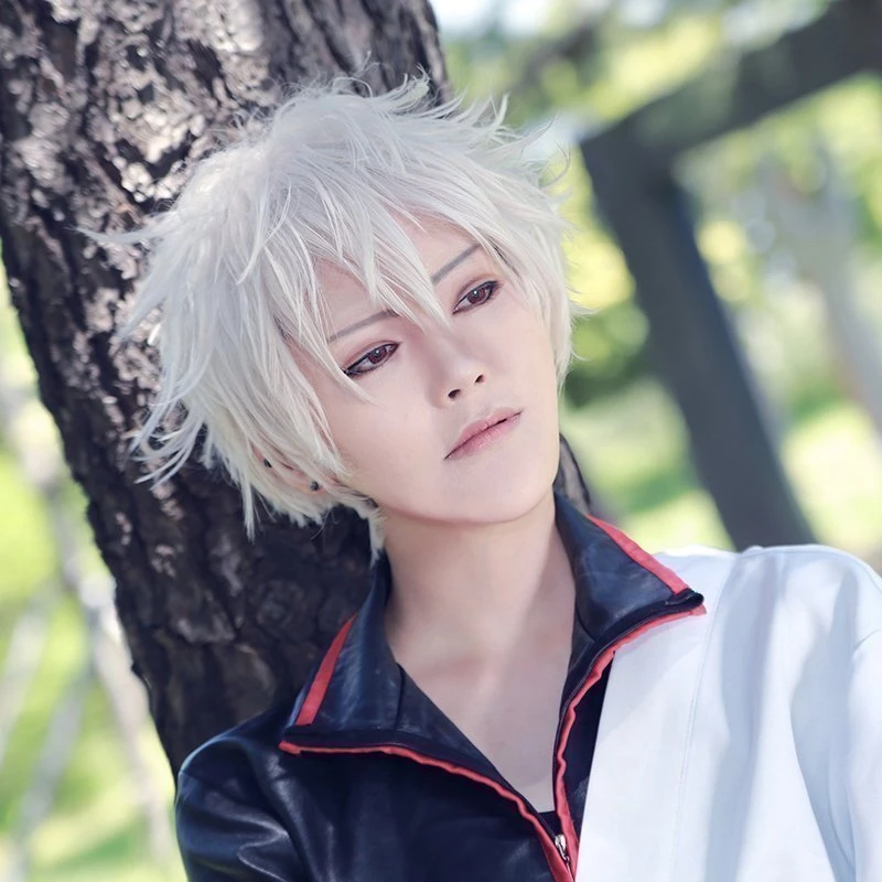 

(Alice-Wig 118) Heat Resistant Fiber Hairpiece Synthetic Hair Wig Anime Gintama Sakata Gintoki Silver White Short Cosplay Wig