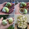 Изображение товара 5
