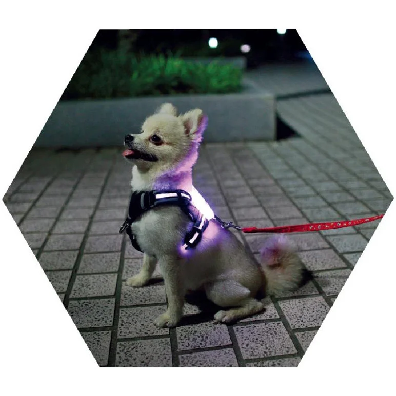 

LED Pet Simon Dog Collar Night Safety Flashing Dog Collar and Leash Set Solar USB Rechargeable Waterproof Harnesses Reflective