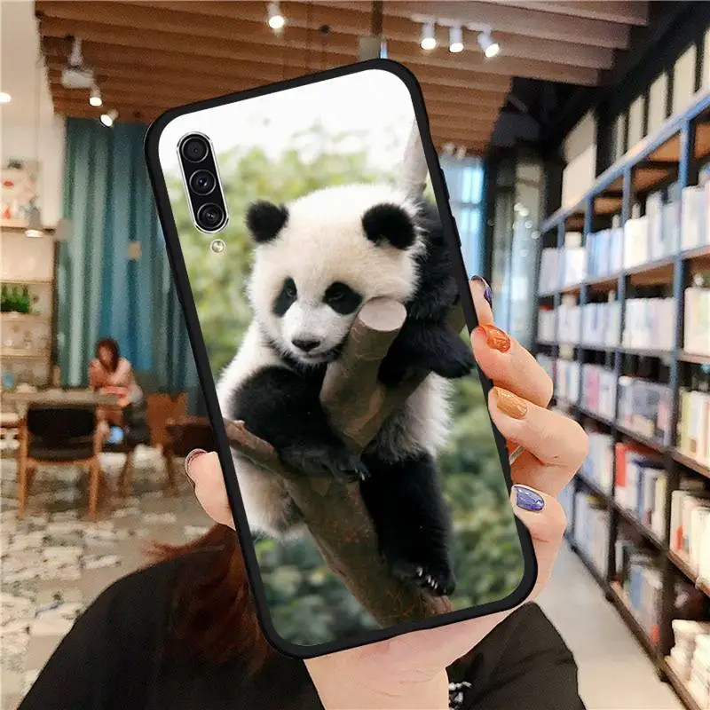 

Cute animal panda Phone Case For Samsung galaxy A S note 10 7 8 9 20 30 31 40 50 51 70 71 21 s ultra plus
