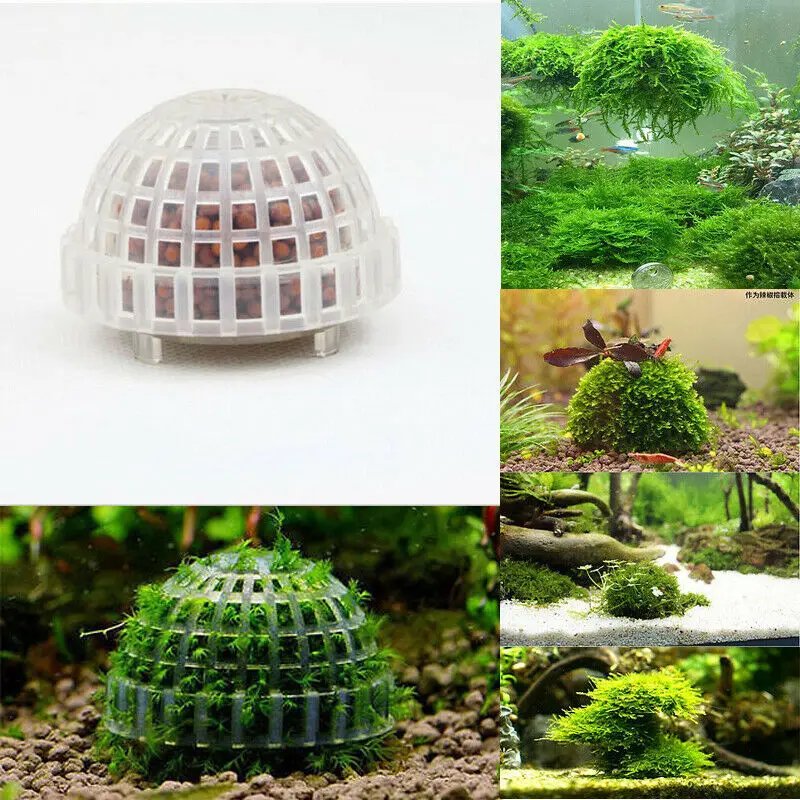 Мох Marimo фильтр для мячей живой аквариум рыб креветок домашний питомец | Дом и сад