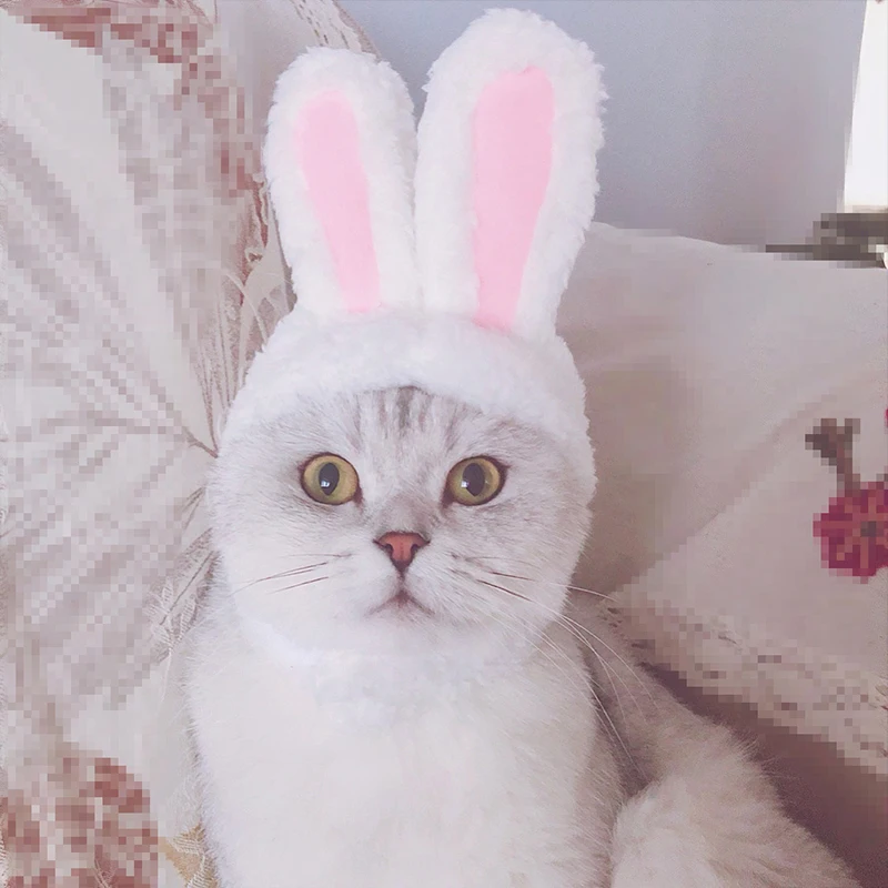 Кошка Шляпа кошка Хэллоуин Рождественская Одежда Необычное платье с ушками
