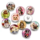 DB0561 милые собаки милые питомцы 18 мм кнопки 10 шт. Смешанные Круглые фото стекло кабошон стиль для кнопки ювелирные изделия