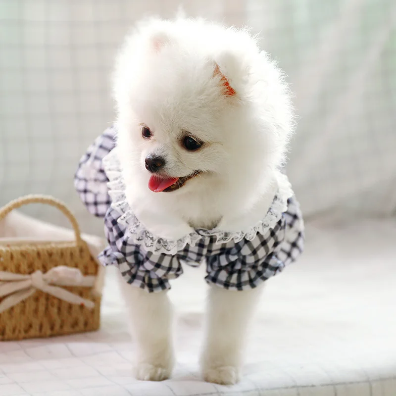 Одежда для щенков и собак Тедди Шнауцер Померанский Чихуахуа Бишон собака Милая