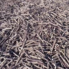 Зубная паста для кошек, 1 кг1500 г2 кг