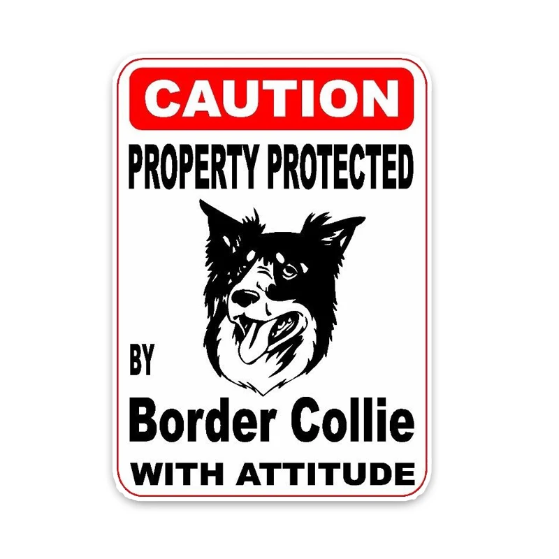 

Caution Car Stickers Property Protected By Border Collie Dog Colorful Auto Decals Sticker Cover Scratches KK 15cm*11cm