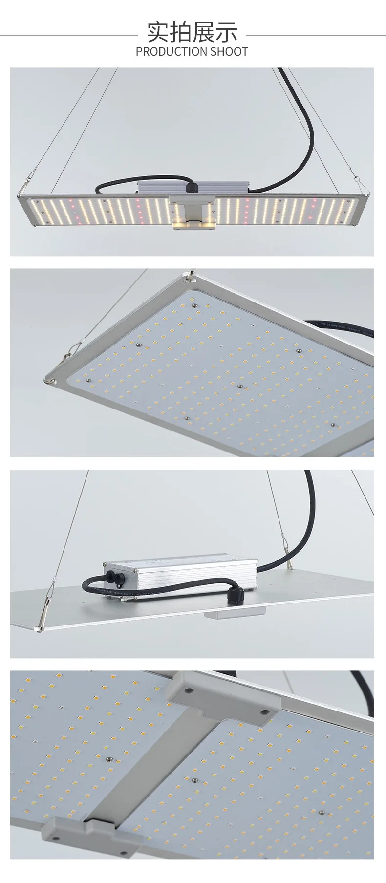 

Plant Growth Lamp