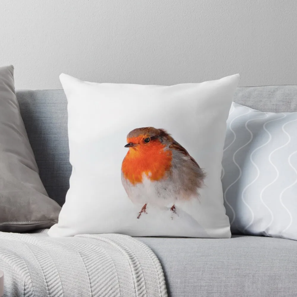 

Наволочка для подушки Robin «холодный день», под заказ, квадратная, с роскошным 3D-принтом, 45 х45 см