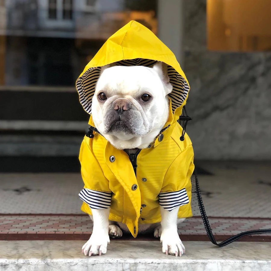 

Big Dog Clothes Hoodie Ropa Para Perro Ubranka Dla Psa Jacket Pet Coat Bulldog Pug Abrigo De Clothing Retro Waterproof Raincoat