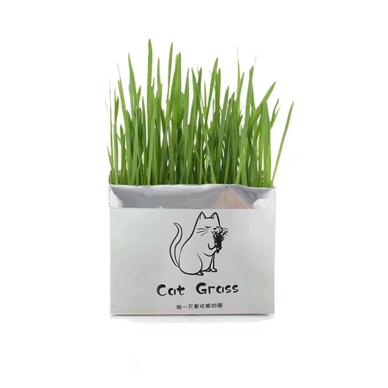 

Soilless Organic Catgrass Cat Grass Snack Growing Kit Cat Grass Planting Bag Children's DIY Sprouts Planting Bag