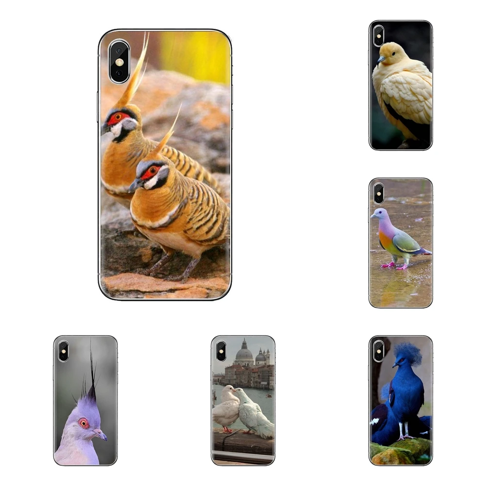 For Samsung Galaxy S3 S4 S5 Mini S6 S7 Edge S8 S9 S10 Plus Note 3 4 5 8 9 Pastel Pigeon Free beautiful bird Silicone Phone Cover |