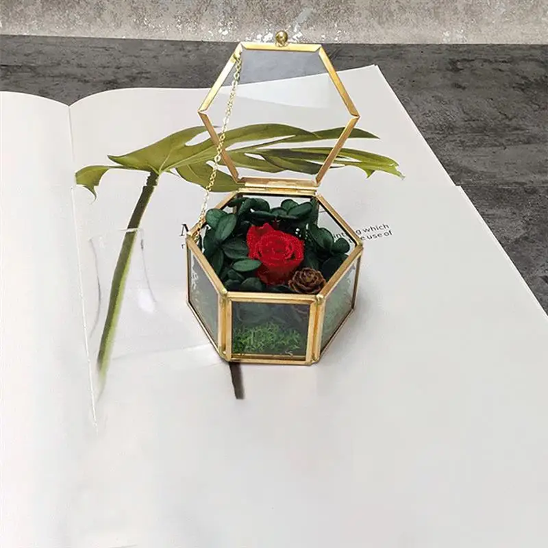 Геометрических ясная стеклянная шкатулка для украшений организовать Держатель