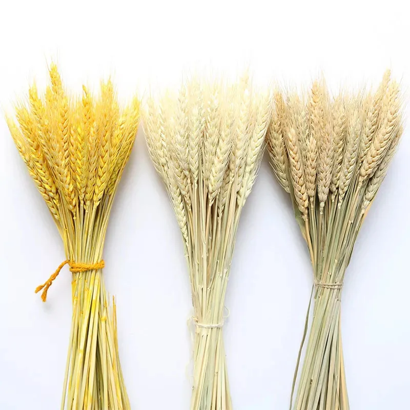 Dried Wheat Ear Bunches Flower Bouquets Natural Raw Color DIY Wedding Party Home Decoration | Дом и сад