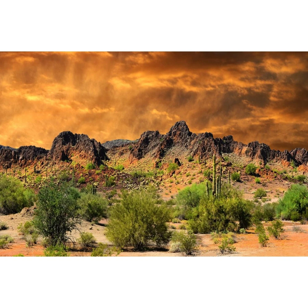 Дезерт кактус Горный пейзаж сцена детский портрет Виниловый фон для фотографии