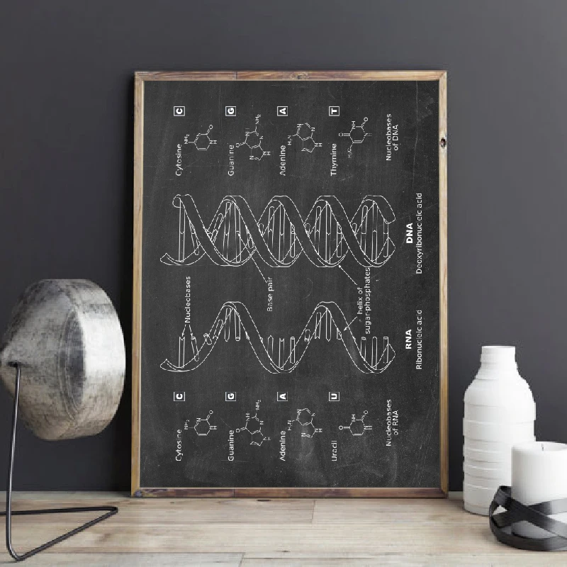 

DNA Patent Wall Art Genetics Posters Print Biology Wall Decor Vintage Gift Science Decorations Blueprint Prints Medical Student