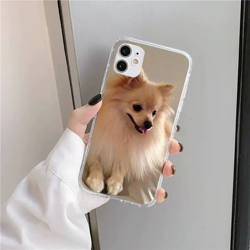 

Pomeranian dog Colorful Cute Phone Case Transparent for iPhone 11 12 mini pro XS MAX 8 7 6 6S Plus X 5S SE 2020 XR