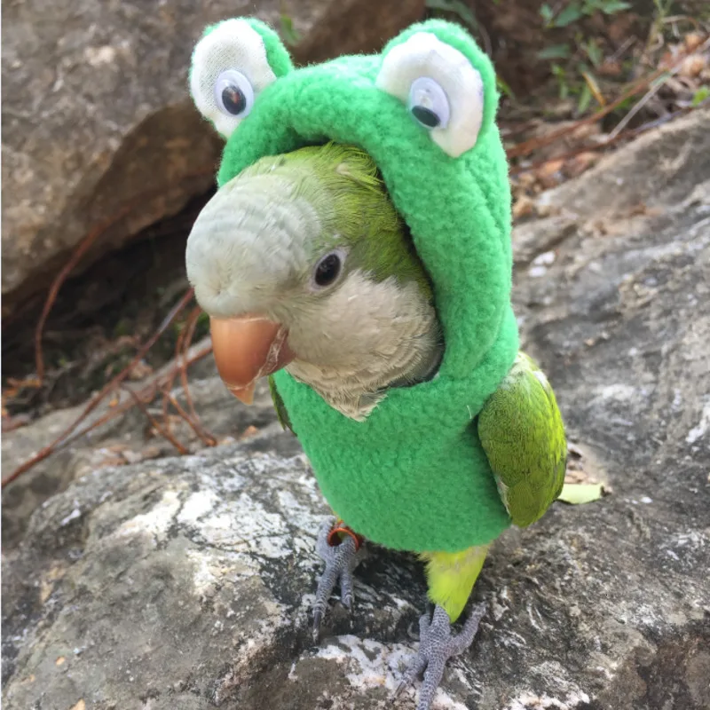 Одежда с птицами ручной работы милый Летающий костюм для тараканов солнца